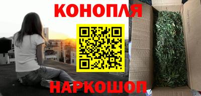 таблы Новозыбков