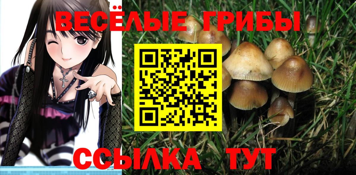 Псилоцибиновые грибы мухоморы Югорск
