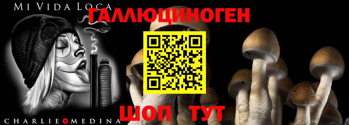 Югорск  Галлюциногенные грибы Psilocybine cubensis  Вход с VPN  Псилоцибиновые грибы мицелий 